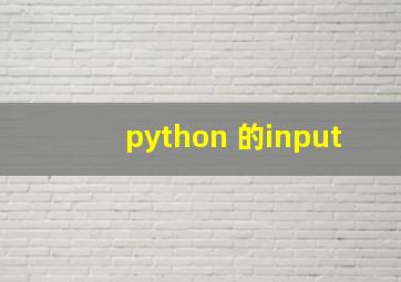 python 的input